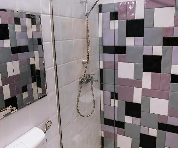 Design Loft בית הארחה טימישוארה