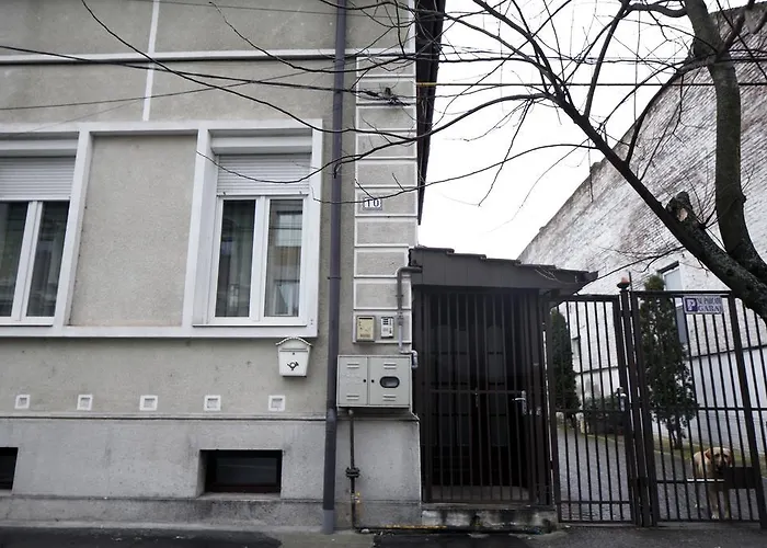 Design Loft בית הארחה טימישוארה